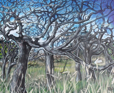 spring wind by 
Peter Allen