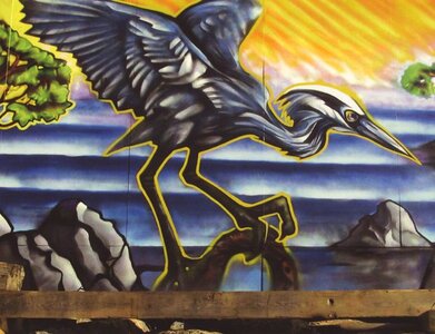 Pacific Steel, Heron close up by 
Peter Allen
