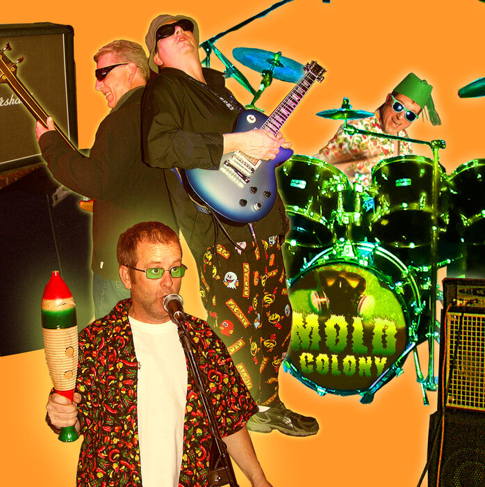 Profile Image: Mold Colony