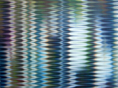Forest by 
Ben van Netten