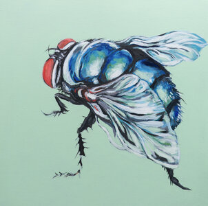 Bluebottle Fly by 
Laura Bonnie