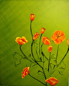 Cali Poppy by 
Alexa Gibbs
