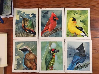 Jaxxon's Birds Commission by 
Kristofer Parley