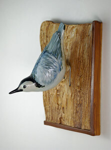 Nuthatch by 
Cindy Gibson