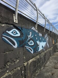 Herring Welcome by 
Jesse Campbell