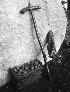 Hands of Time - Digging Camas Bulbs by 
Crystal Przybille (sculptor), Carolyn Memnook  (Designer)
