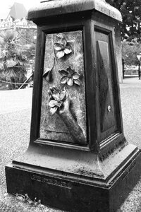Hands of Time - Cupping Dogwood Blossoms by 
Crystal Przybille