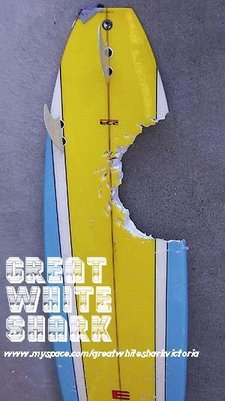 Profile Image: Great White Shark