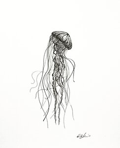 Jellyfish - Original Pen and Ink Artwork by 
Adam Bartosik