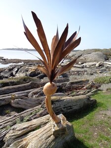 Salish Medusa by 
Brian Rombough