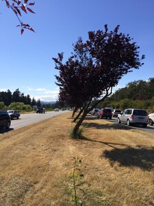 Open Action Colwood Crawl by 
Doug Jarvis