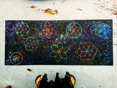 Untitled by 
Rachael Gurevitch