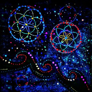 Untitled by 
Rachael Gurevitch