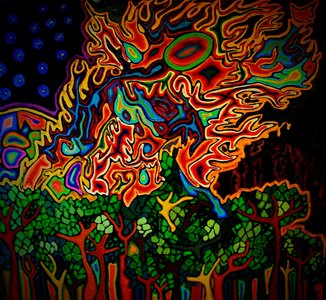 Untitled by 
Rachael Gurevitch