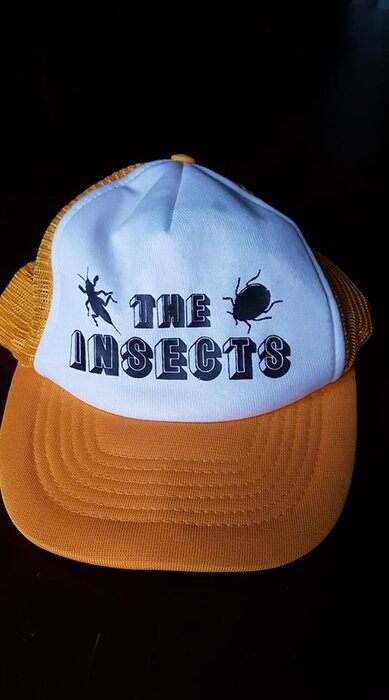 Profile Image: The Insects