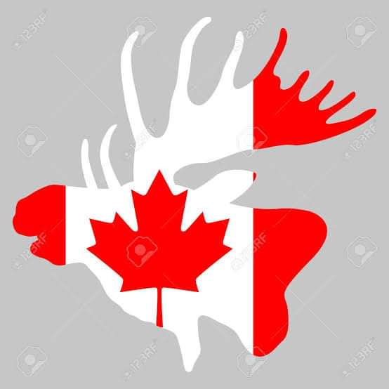 Profile Image: Muck and the Canucks 