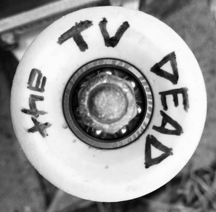 Profile Image: the TV DEAD 