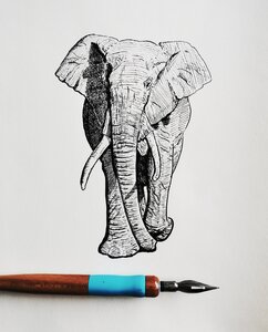 Elephant - Original Pen and Ink Artwork by 
Adam Bartosik
