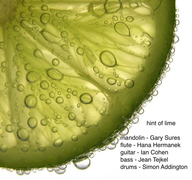 Profile Image: Hint of Lime