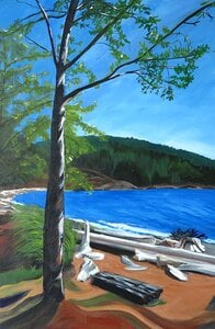 Sunshine Coast by 
Linda Urbinsky