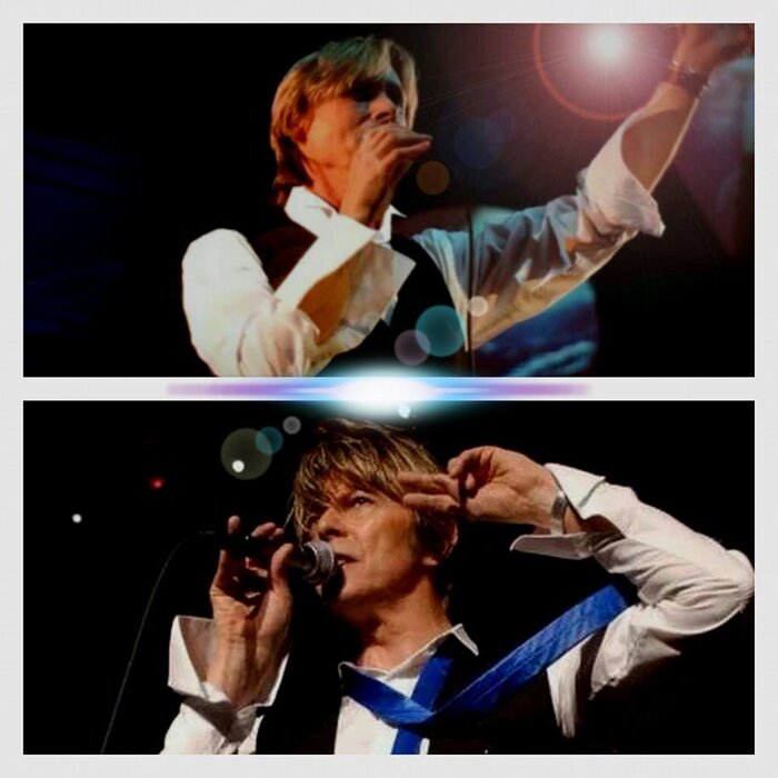 Profile Image: A Night of Bowie