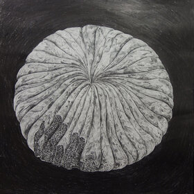 Internal Mapping, Drawing workshop: Sylvie Ringer - May 1st @ the fifty fifty arts collective