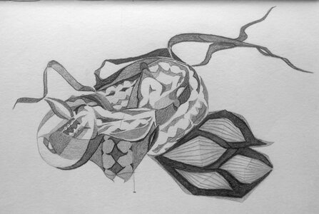 Untitled by 
Nicole Boyce