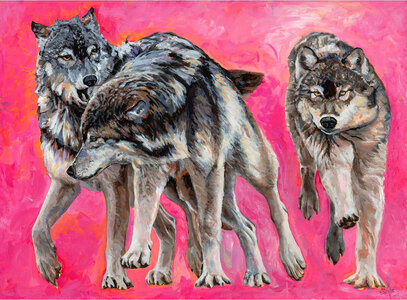 WolvesRunning by 
Carole Finn (OSA SFCA)