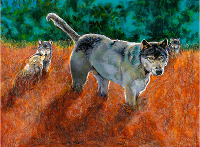 WolfInSunset by 
Carole Finn (OSA SFCA)