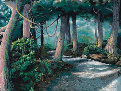 WildPacificTrail_UndertheCanopy by 
Carole Finn (OSA SFCA)