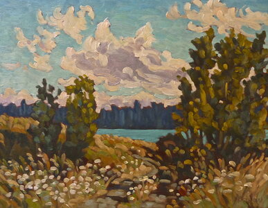 Evening Clouds & Queen Anne's Lace by 
Jeffrey J Boron