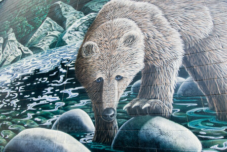 Sher's Bears by 
Jeff King