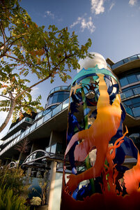 The Reef Project by 
Michael Abraham