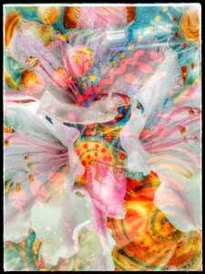 Ecstasy in Real Time by 
Carol Auld
