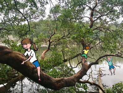 Kids Gotta Climb by 
Val Lawton
