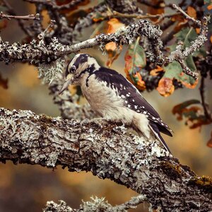 Untitled by 
Jon Glass