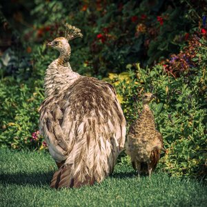 Untitled by 
Jon Glass