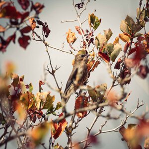 Untitled by 
Jon Glass