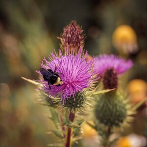 Untitled by 
Jon Glass