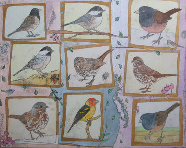 Birds of the Island by 
Anna Milton