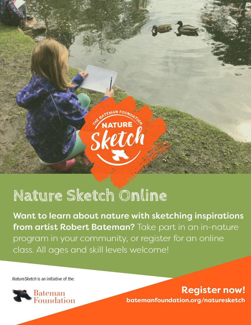 Study the changing seasons through sketching or watercolour with Nature Sketch Program: Val Lawton, Jen Burgess @ Online - Jan 08, 2021