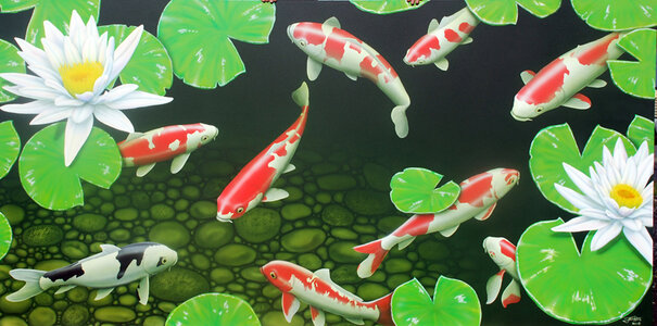 Koi by 
Jeff King