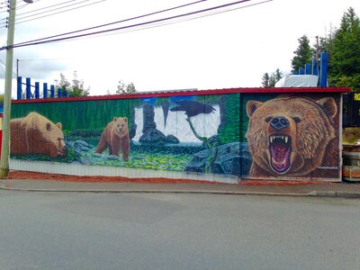 Grizzly by 
Jeff King