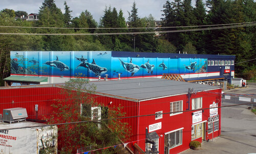 Rona Whales by 
Jeff King