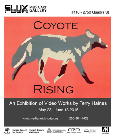 Exhibition of work by video artist Terry Haines: Terry Haines, Aaron Rice @ Flux Media Gallery May 23 2015 - May 12th @ Flux Media Gallery
