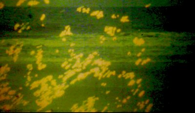 QUANTUM ZEN - FILM LOOP EXHIBITION BY PETER SANDMARK @ Flux Media Gallery Jan 24 2015 - May 12th @ Flux Media Gallery
