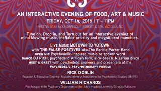 SYNERGY SALON: INTERACTIVE EVENING OF FOOD, ART & MUSIC: The False Positives , DJ Rich @ The Westin Bear Mountain Golf Resort & Spa - Oct 14, 2016
