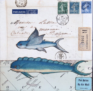 Flying Fish by 
Wilma Millette