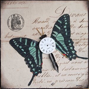 Swallow Tail Butterfly by 
Wilma Millette