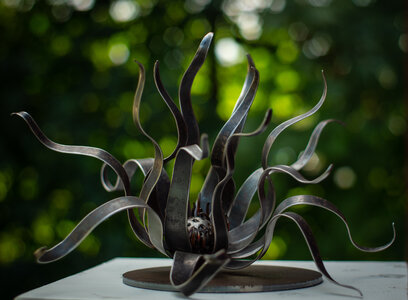 Emerging Flame by 
Brenda Isaak Takao